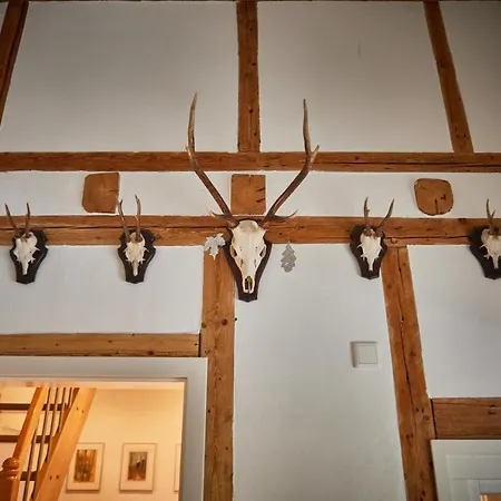 Semesterbostad Asten-lodge Winterberg