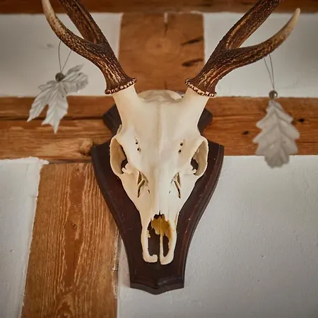 Holiday home Asten-lodge *