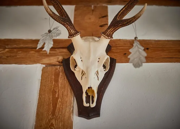 Holiday home Asten-lodge *